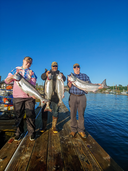 Fishermen on the Dock Show Off Large Chinook Salmon