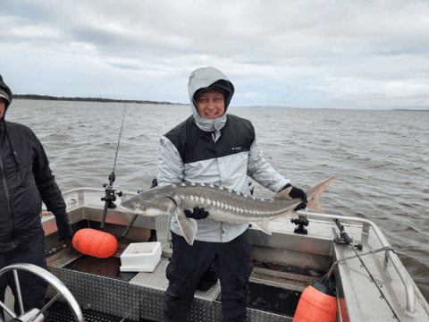 White Sturgeon Caught on a Fishing Trip